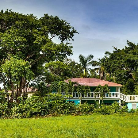 The Sea Glass Inn Placencia エクステリア 写真
