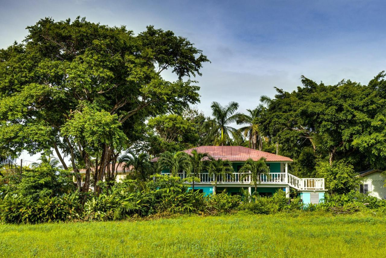 The Sea Glass Inn Placencia エクステリア 写真
